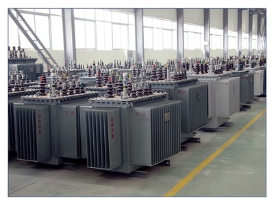 巴中50KVA/35KV油浸式变压器